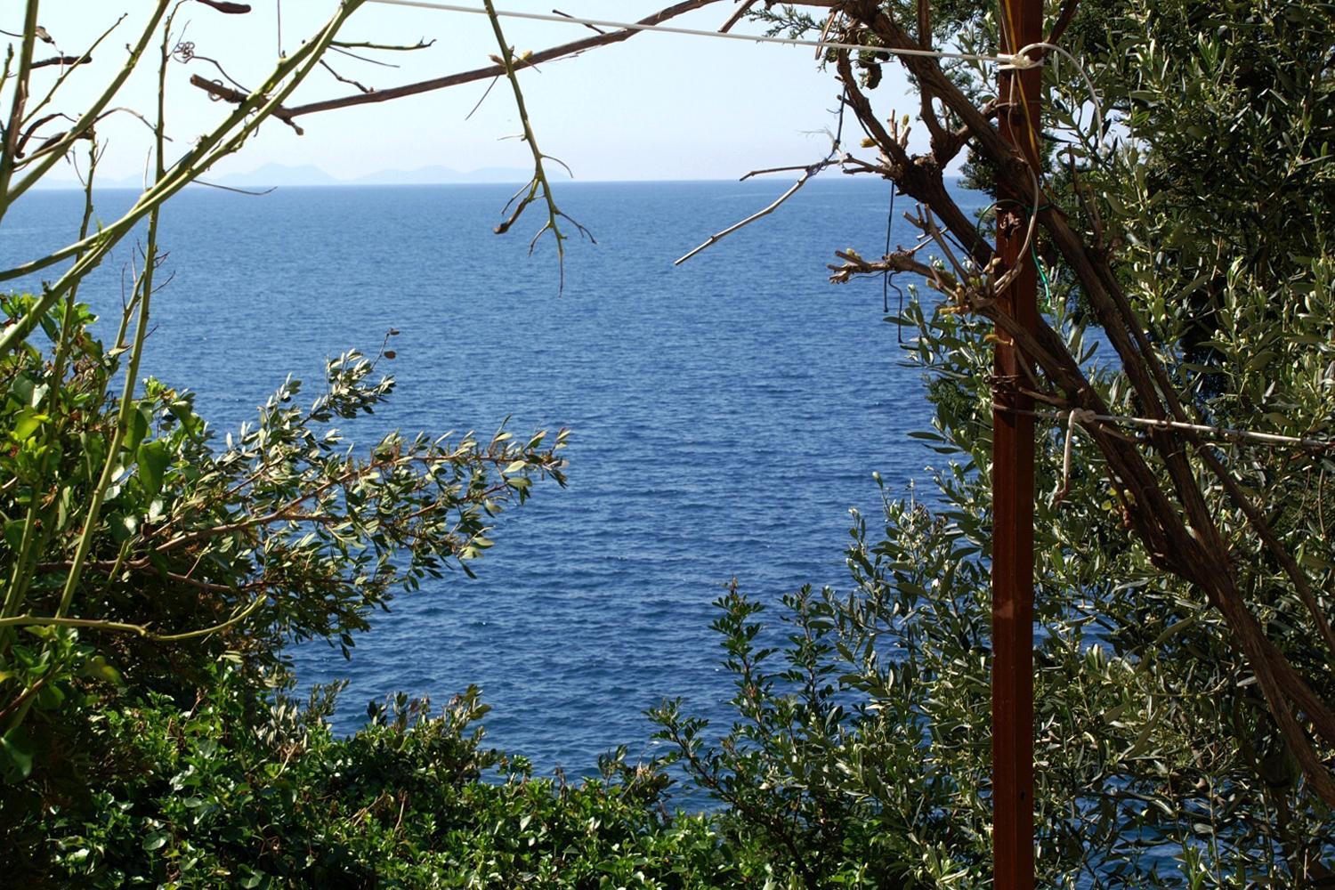 Apartments By The Sea Zavalatica, Korcula - 189 Bagian luar foto